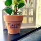 Playing Dead Terra Cotta Clay Flower Pot 