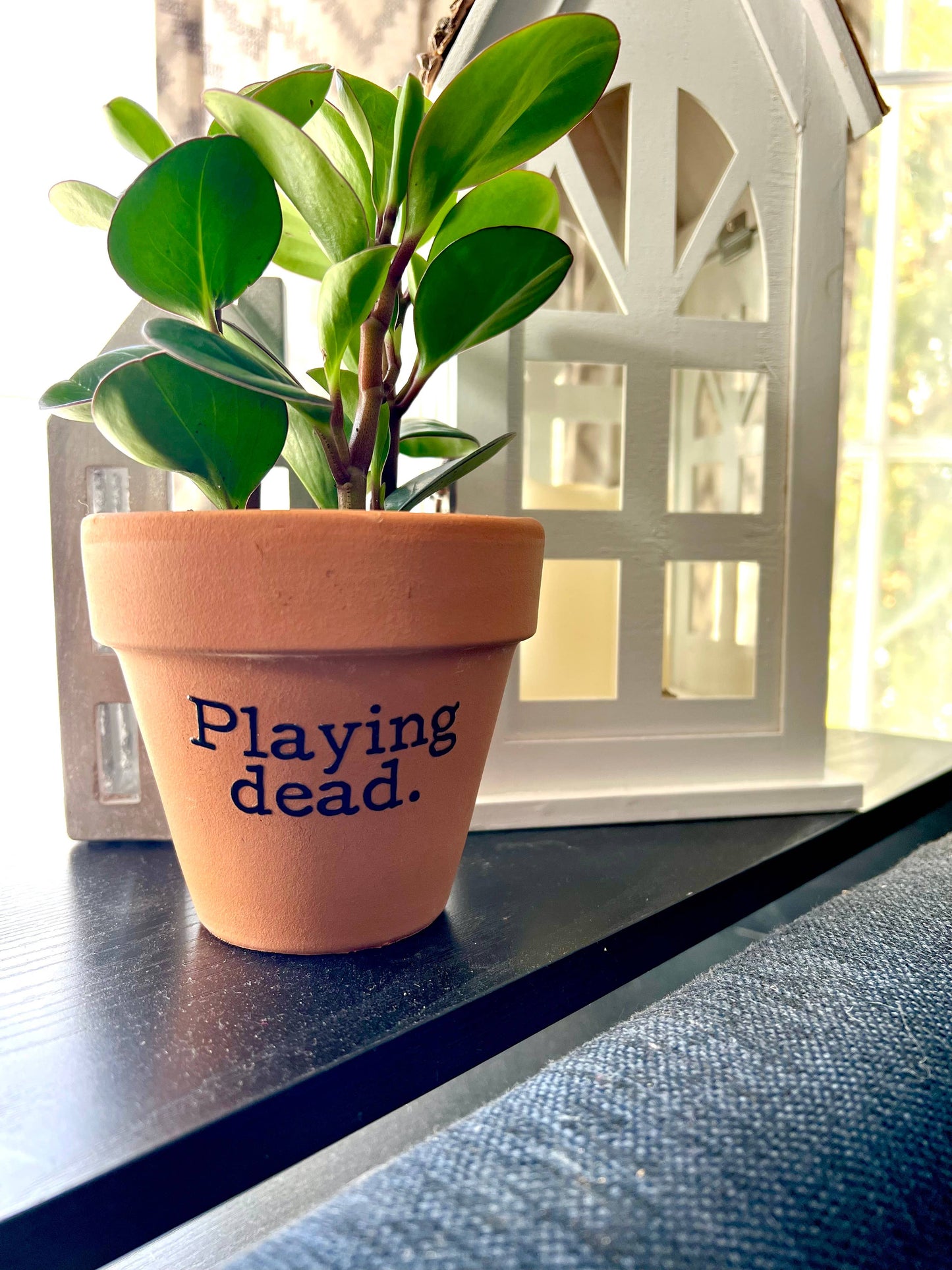 Playing Dead Terra Cotta Clay Flower Pot 