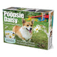 Prank Gift Box Poopsie Daisy