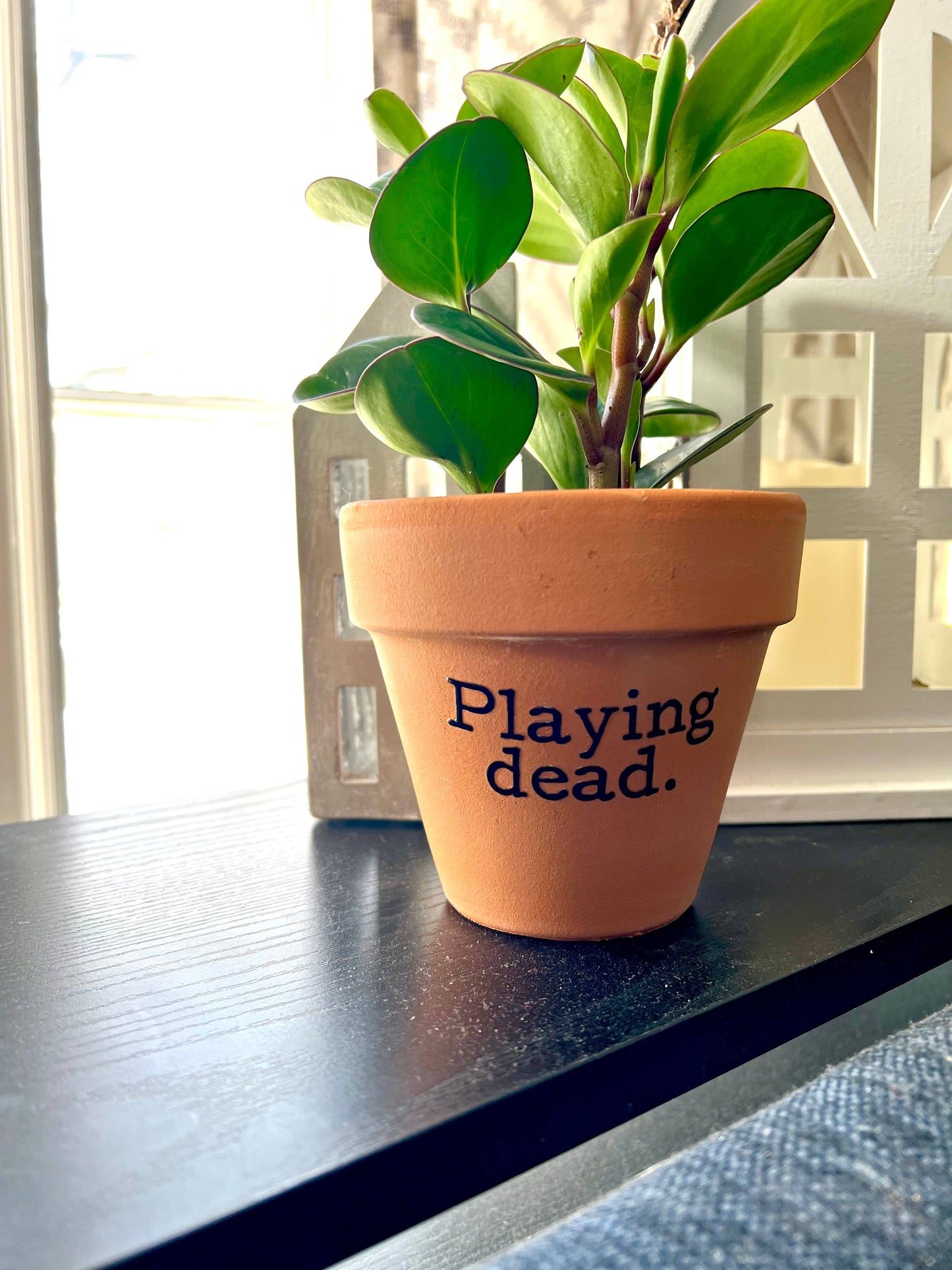 Playing Dead Terra Cotta Clay Flower Pot 