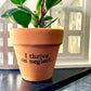 I Thrive On Neglect Terra Cotta Clay Flower Pot 