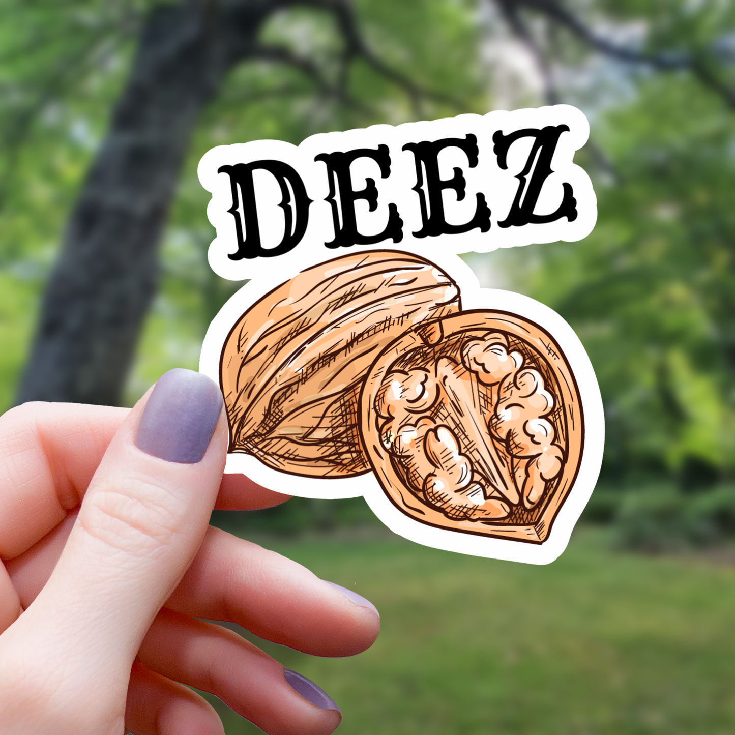 Deez Walnuts Funny Pun Sticker - 3"