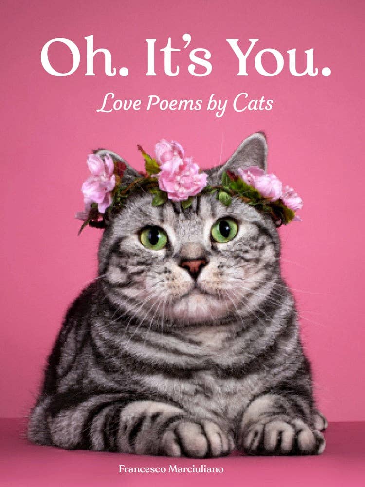 Oh. It's You.  Love poems by cats