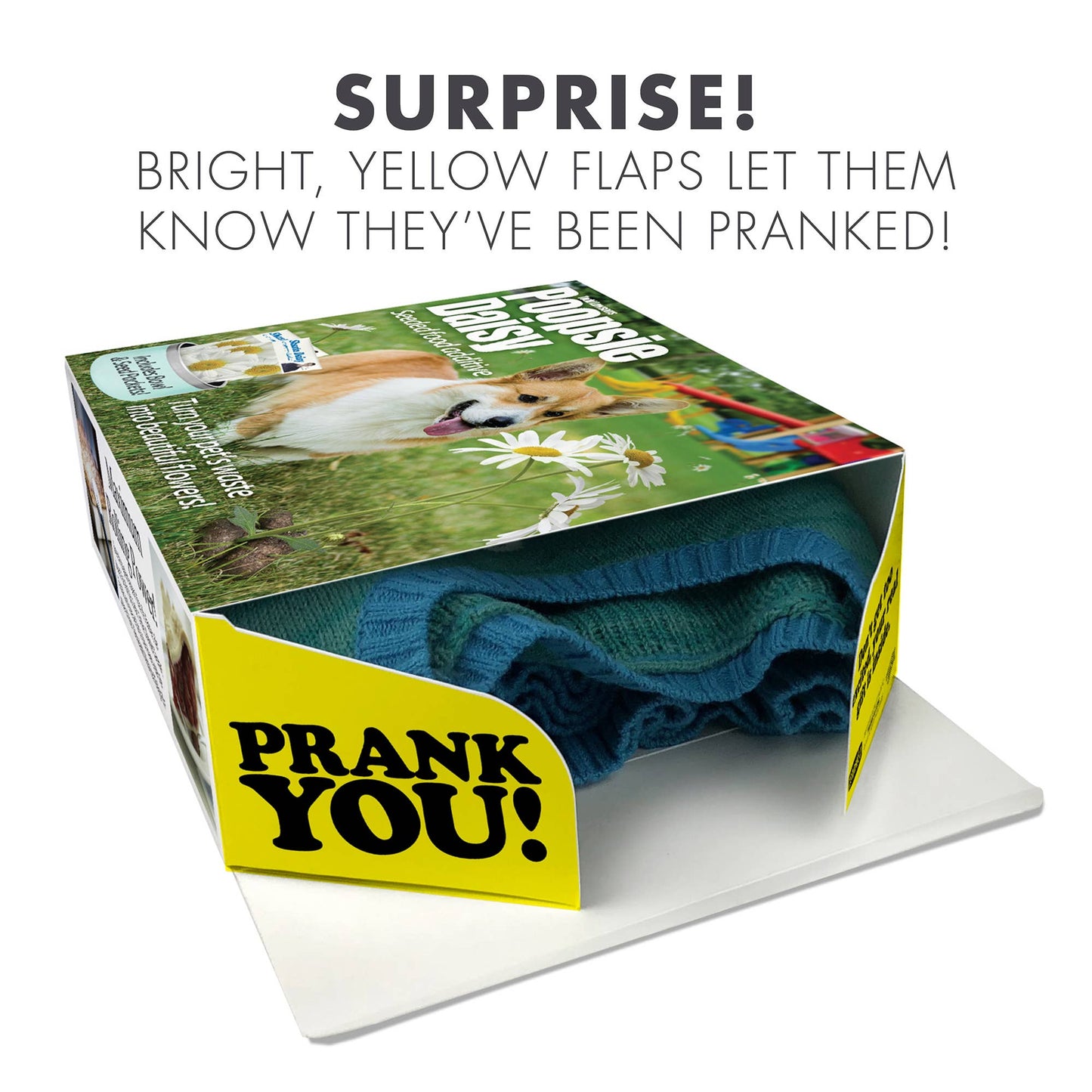 Prank Gift Box Poopsie Daisy