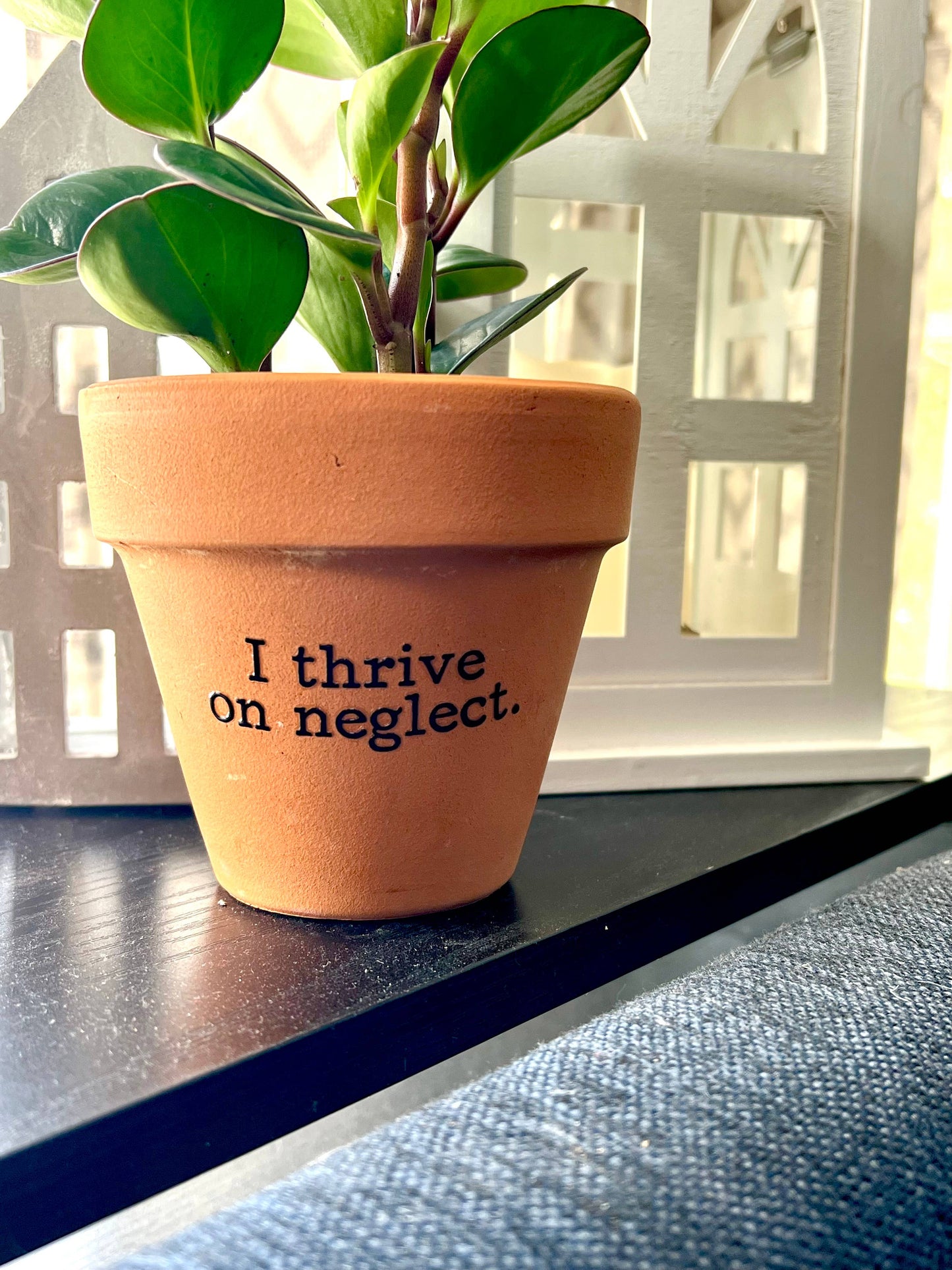 I Thrive On Neglect Terra Cotta Clay Flower Pot 