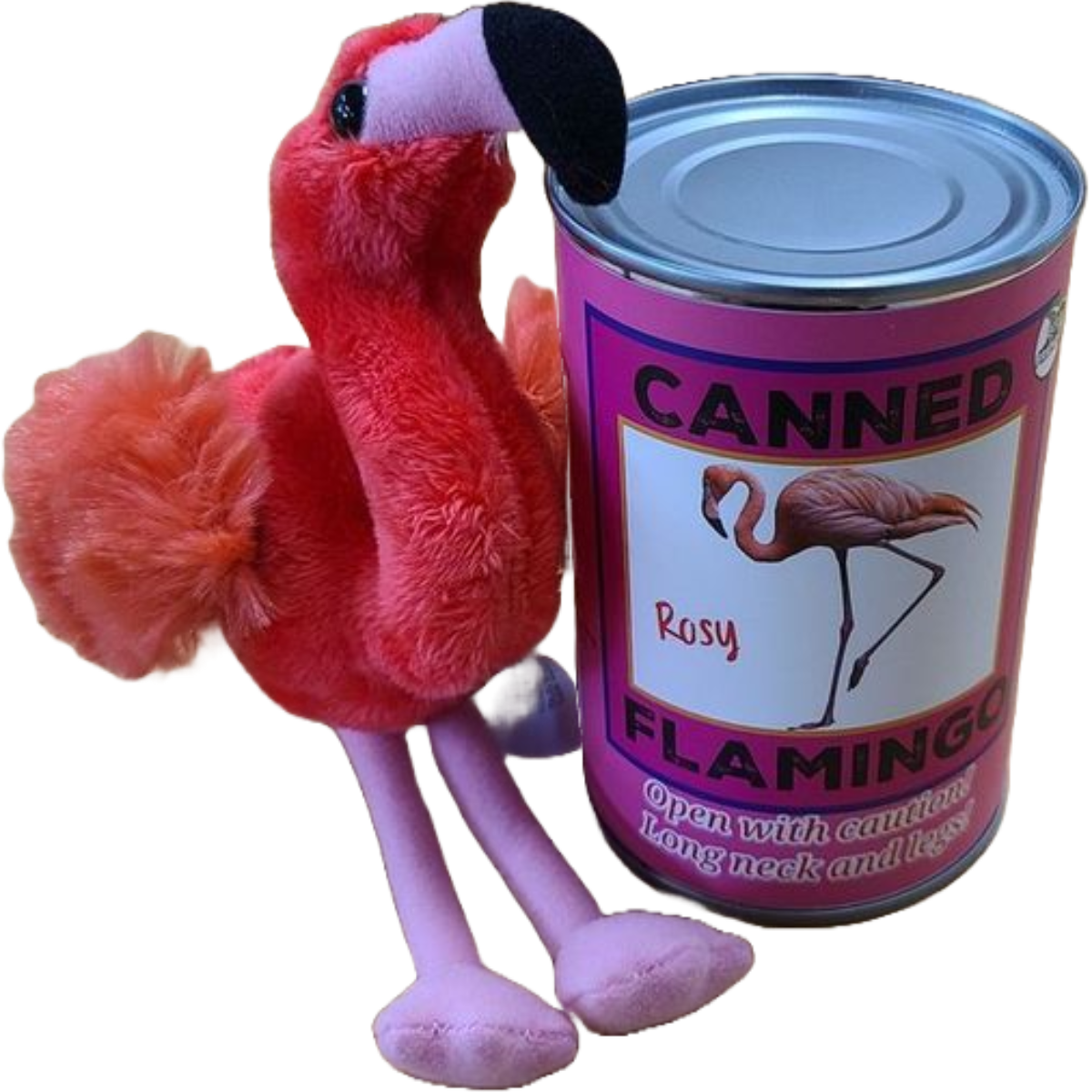 Rosy the Canned Flamingo w/Jokes - Eco-Friendly Recycled