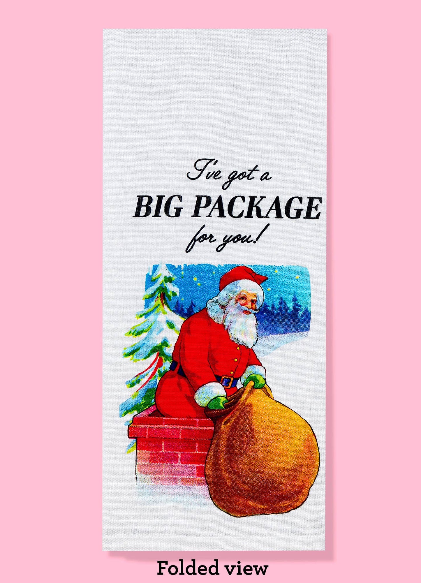 I've Got a Big Package kitchen towel